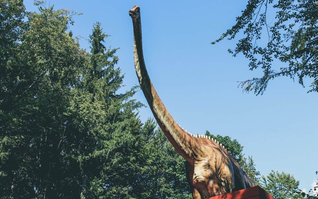 66 Milyon Yıl Önceye Kadar Dinozorlar 2 uzun boyunlu dinazor