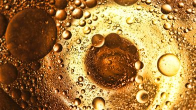 Polifenol Nedir? 2 Polifenol Nedir