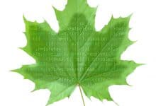 Sentetik Biyoloji Nedir ? 6 sentetik biyoloji