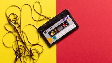 Müzik İndirme Programları 13 Müzik İndirme Programları