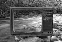 Derin Ekoloji Nedir? 7 derin ekoloji