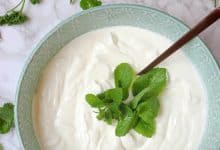 Mikrobiyota Dengesi 9 mikrobiyota