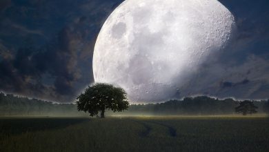 Ay Dünyaya Daha Yakın Olsaydı Ne Olurdu? 10 Ay Dunyaya Daha Yakin Olsaydi