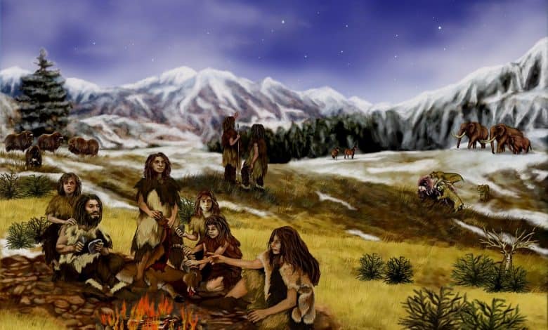 İnsanların Vahşi Kuzenleri Neandertaller 1 Neandertaller