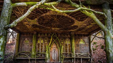 Metafizik Nedir? 5 metafizik nedir